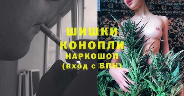прущие грибы Арсеньев