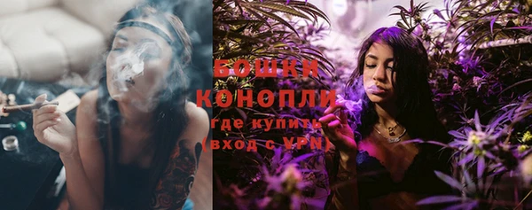 прущие грибы Арсеньев
