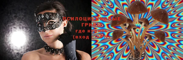 прущие грибы Арсеньев